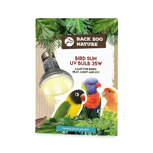 Back Zoo Nature Bird Sun UV-Lampe