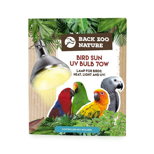 Back Zoo Nature Bird Sun UV-Lampe