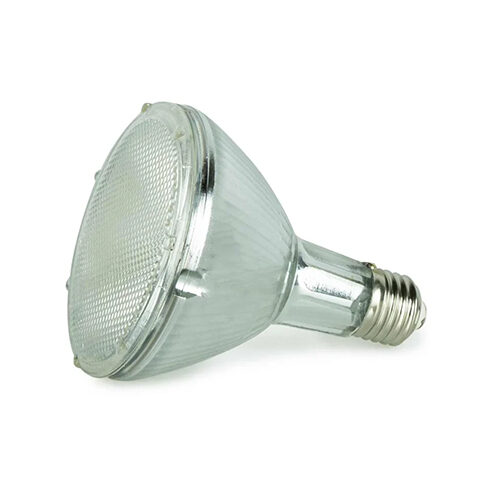 Back Zoo Nature Bird Sun UV-Lampe