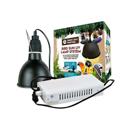 Back Zoo Nature Bird Sun UV-Lampe
