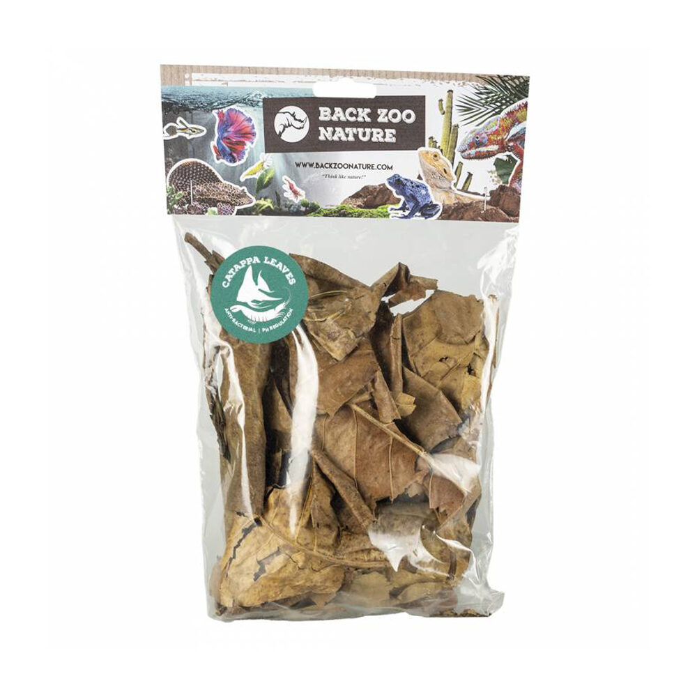 Back Zoo Nature Catappa Leaves - 25 gram