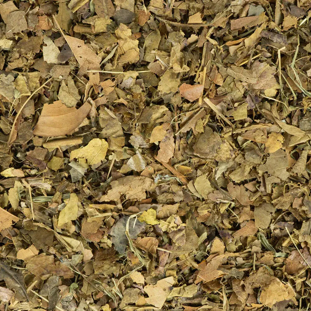 Back Zoo Nature Crushed Leaves Mix