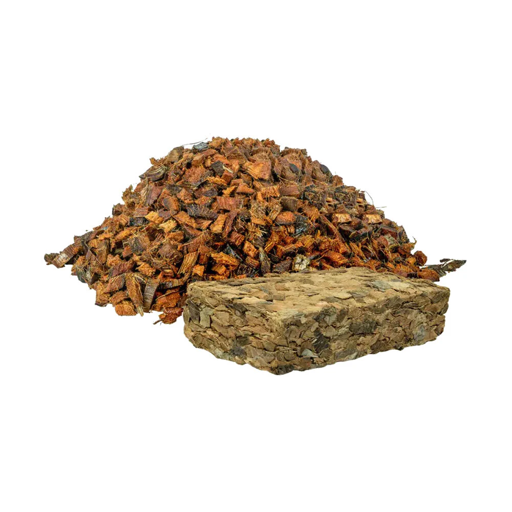 Back Zoo Nature Discovery Bricks