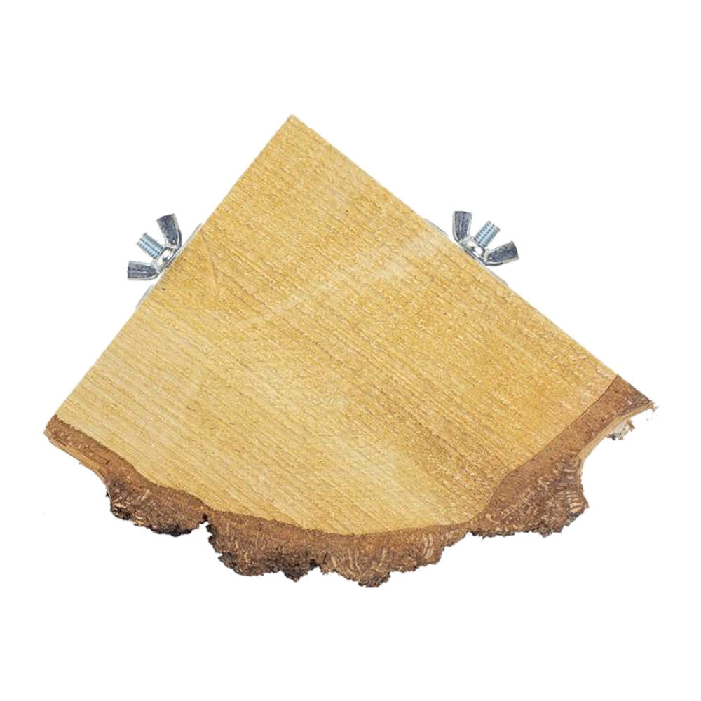 Back Zoo Nature Half Wood Slice