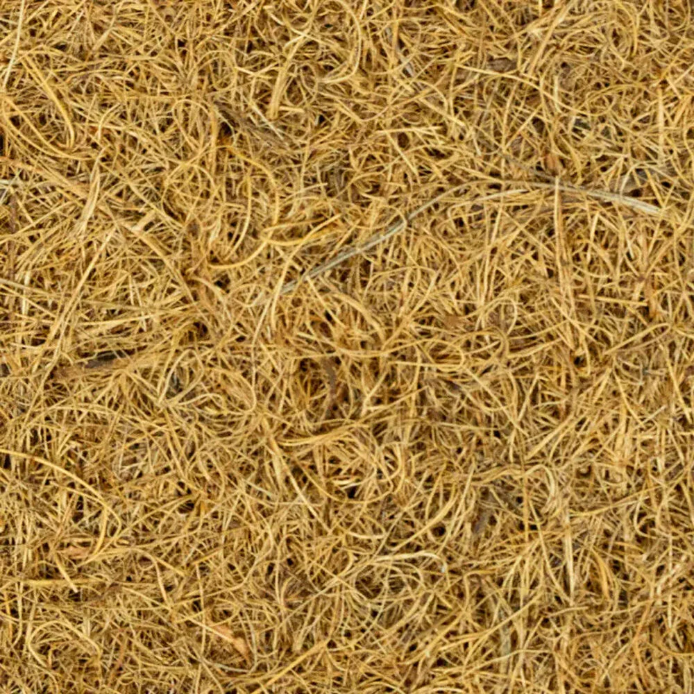 Back Zoo Nature Kokosvezel Terrarium Achterwand