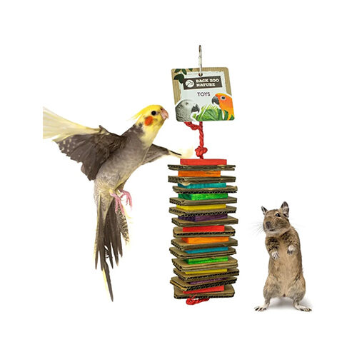 Back Zoo Nature Shredding Slices