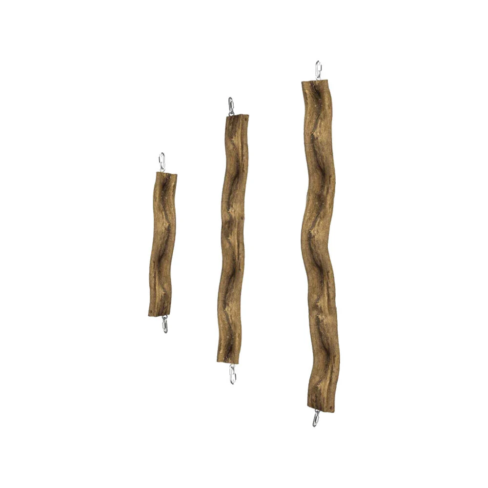 Back Zoo Nature Snake Perch