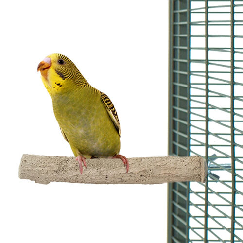 Back Zoo Nature Super Stone Perch