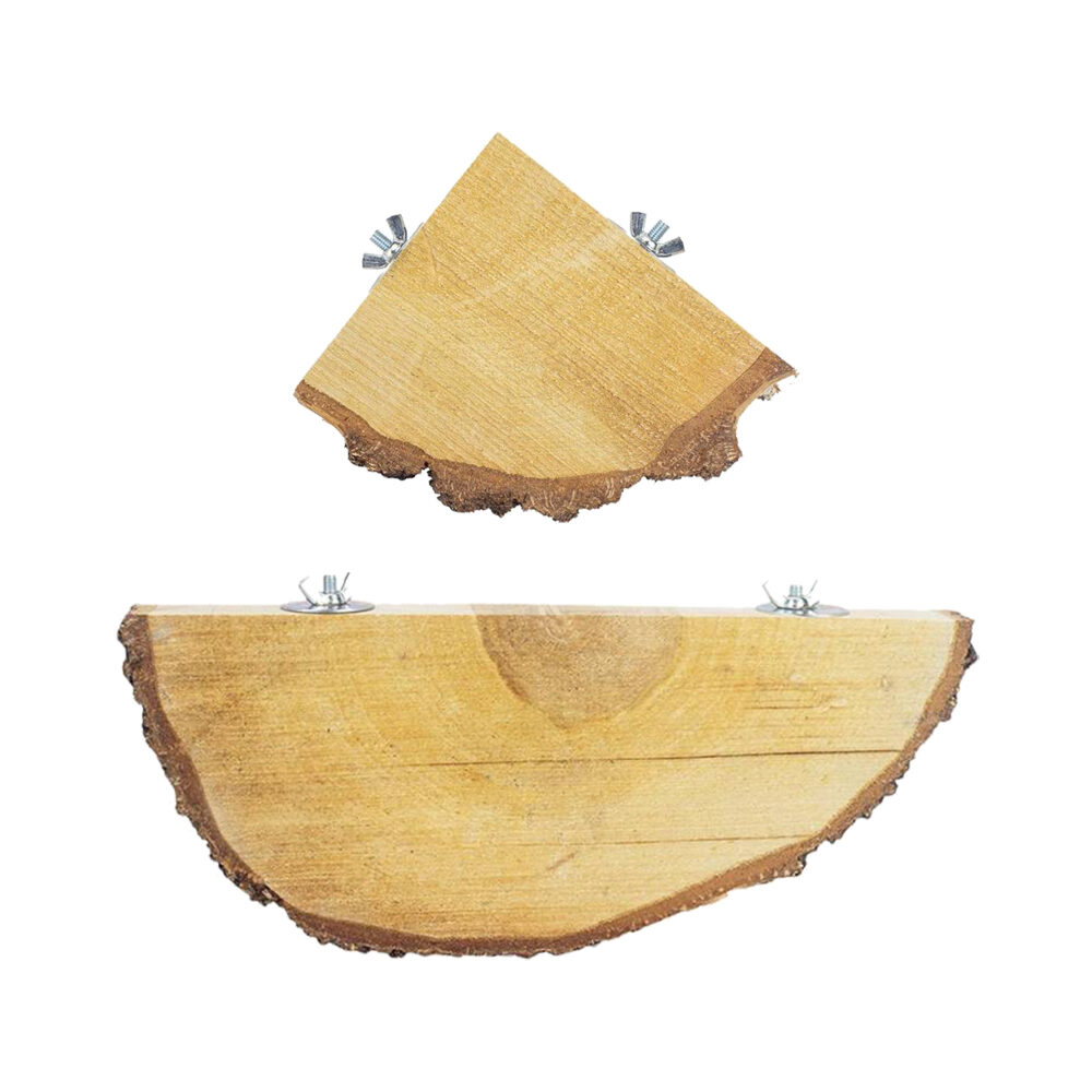 Back Zoo Nature Wood Slice