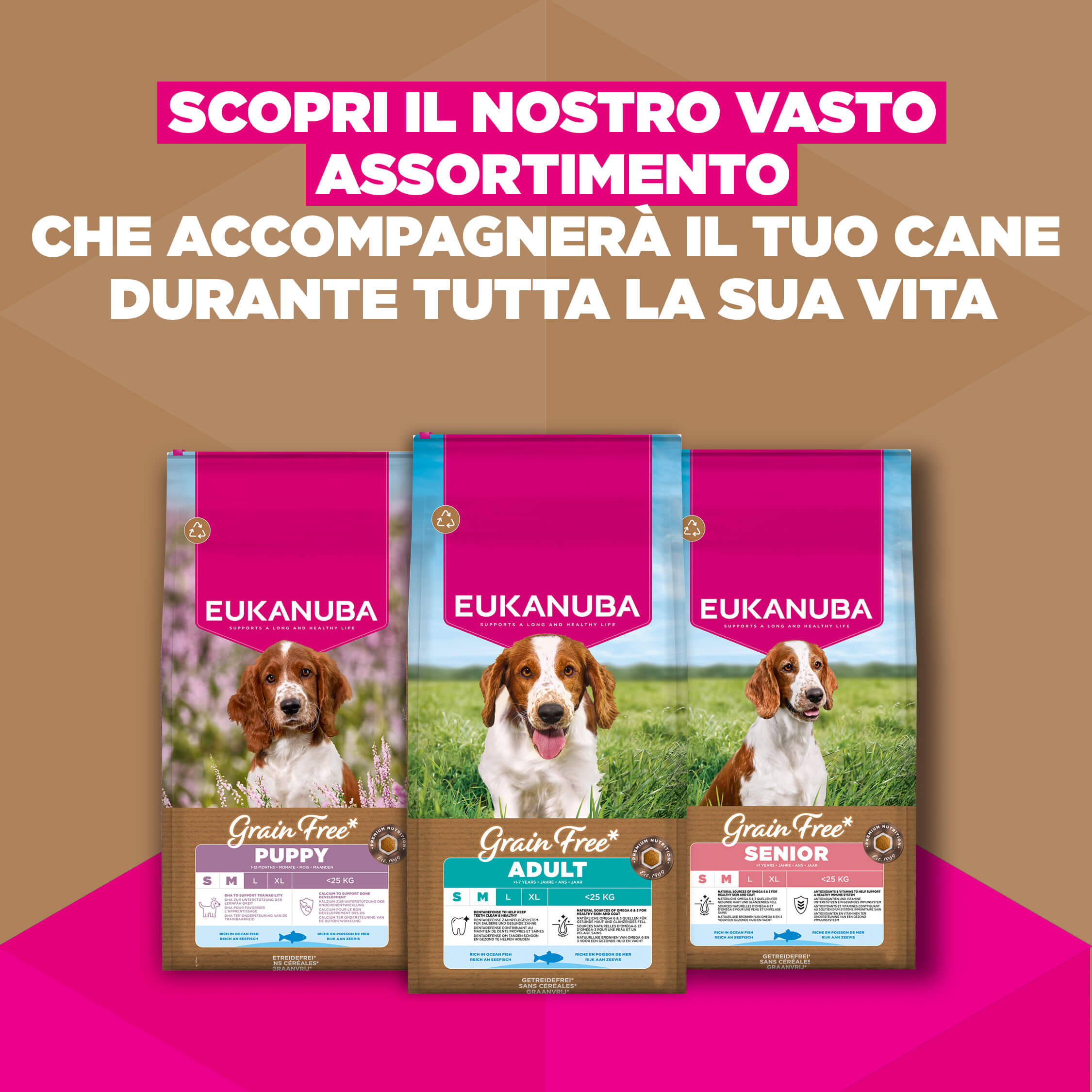 Eukanuba Dog Puppy Small/Medium Grainfree Cibo per Cani
