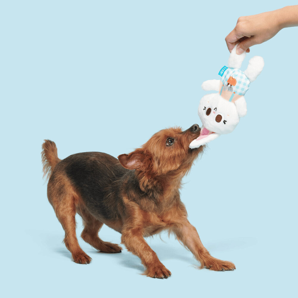 Bark Green Thumb Rabbit with Apron