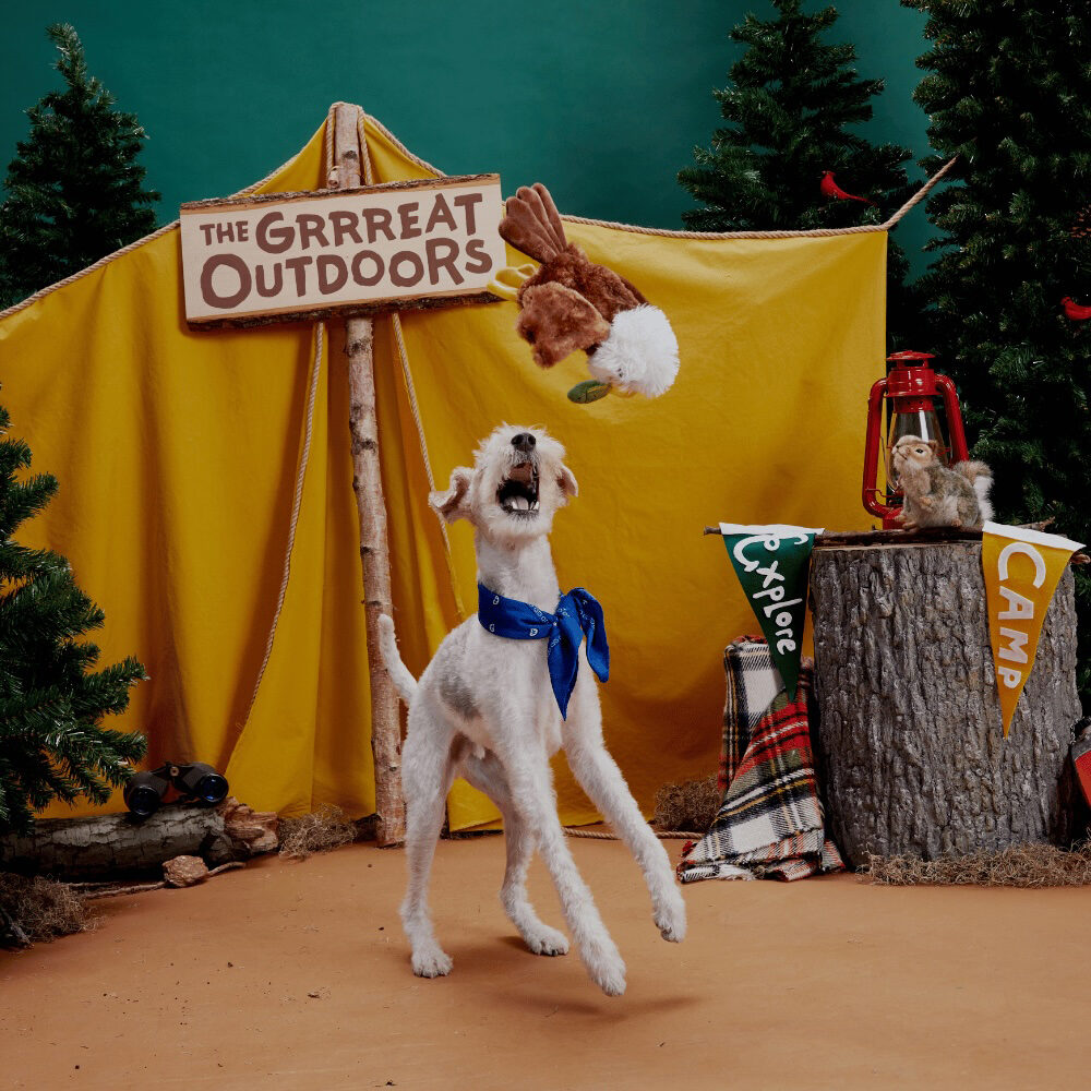 Bark Majestic Marty Arend met Vis