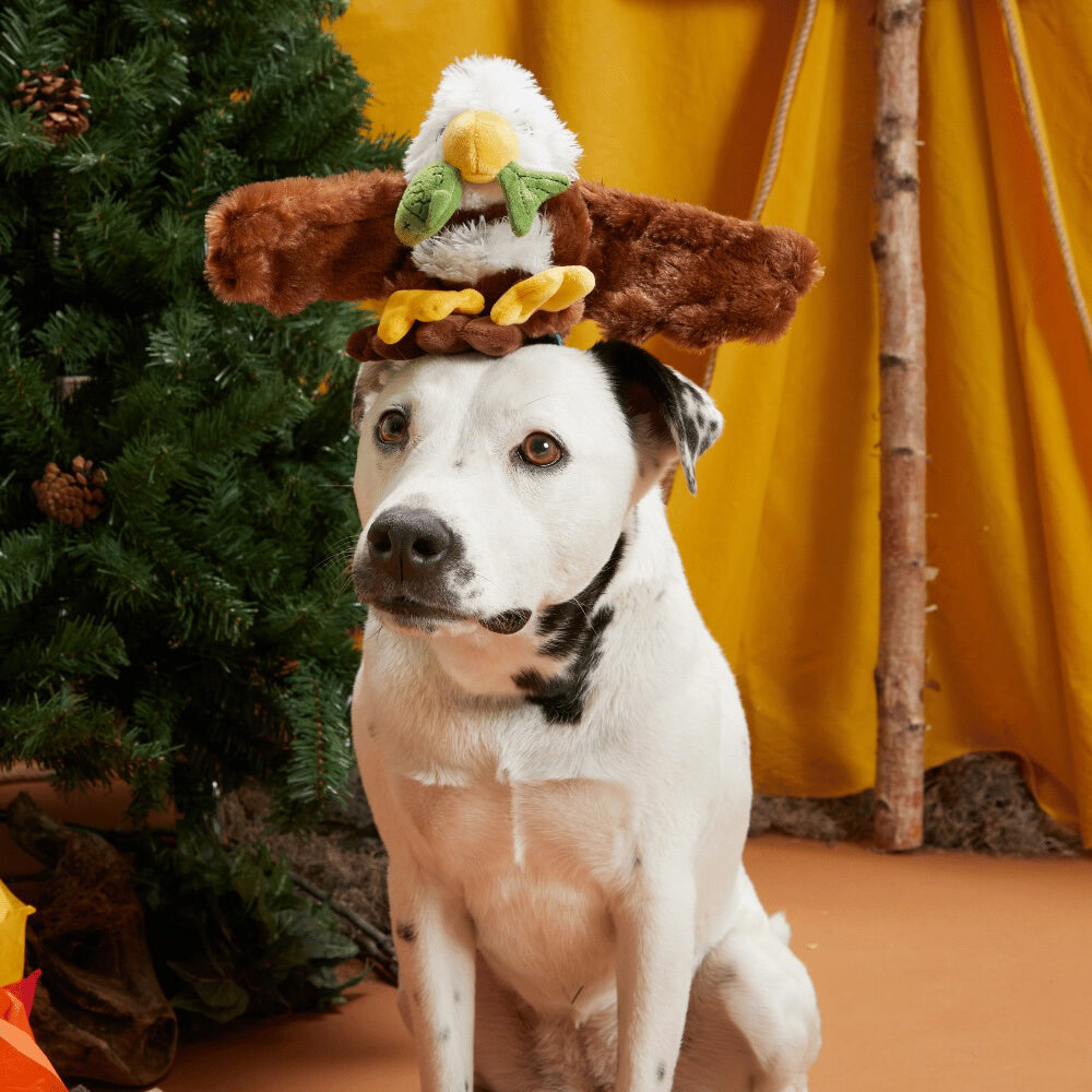 Bark Majestic Marty Arend met Vis