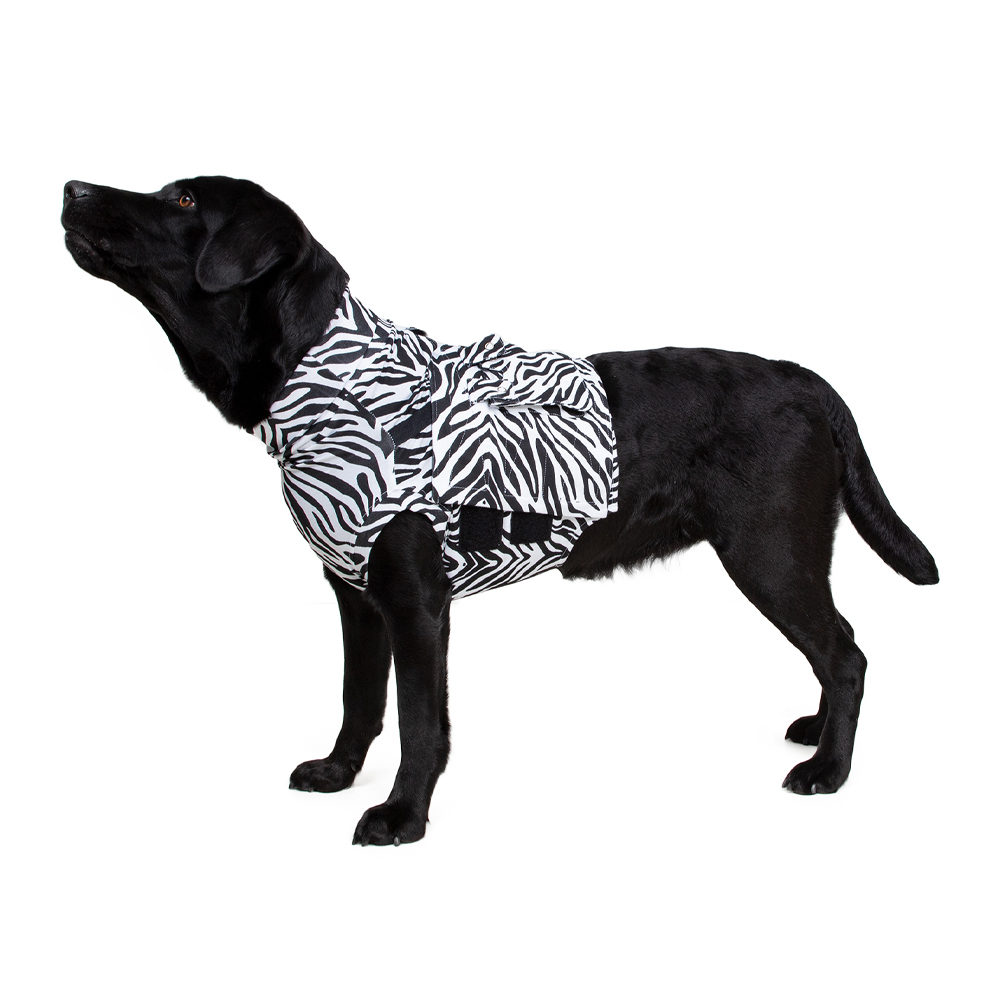 Medical Pet Top Shirt Zebra Print - L