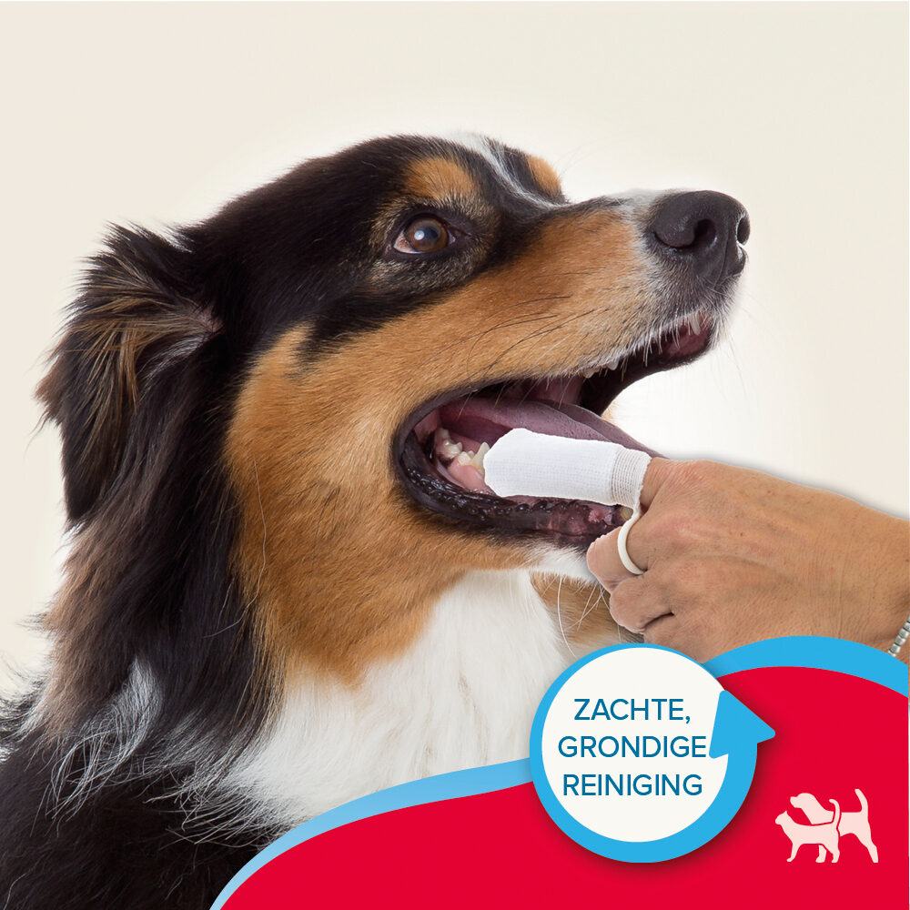 Beaphar Doigtier Dentaire