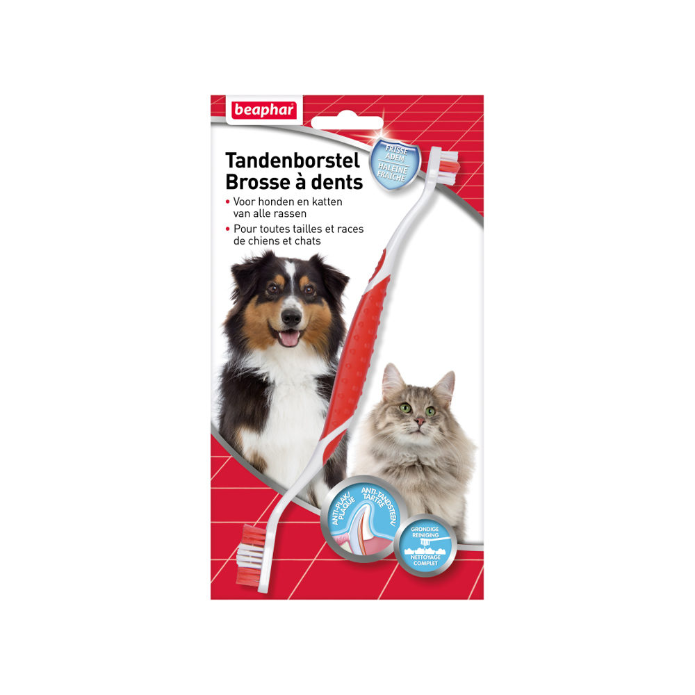 Beaphar Brosse à Dents pour Chien et Chat