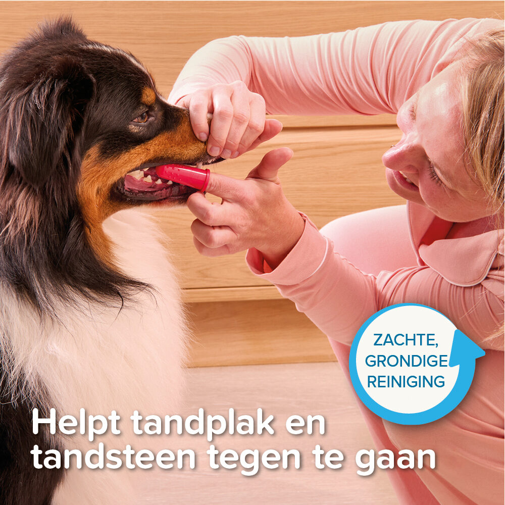 Beaphar Vingertandenborstel