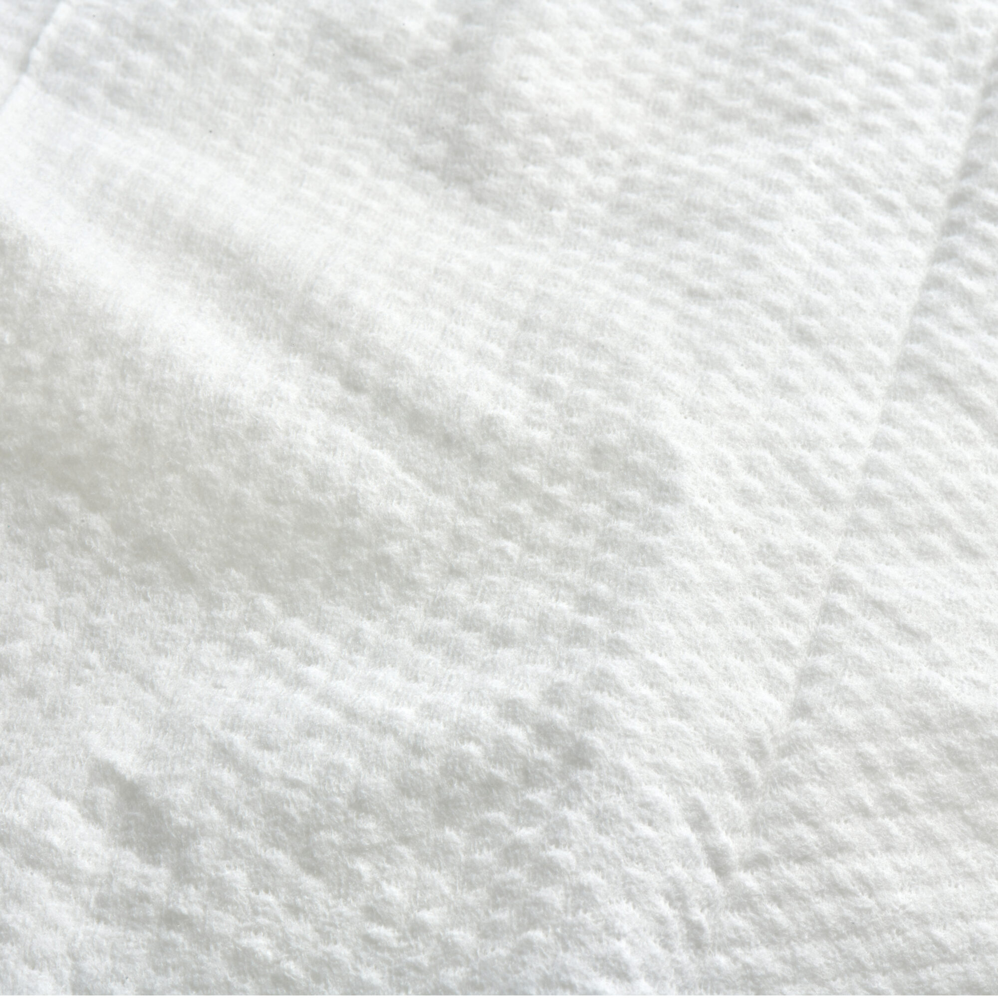 Beco Dog Ear Wipes - Coconut