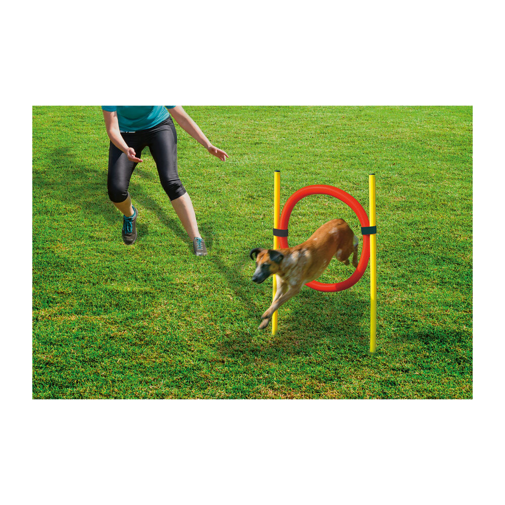 Beeztees Ensemble d'Agilité Hoop