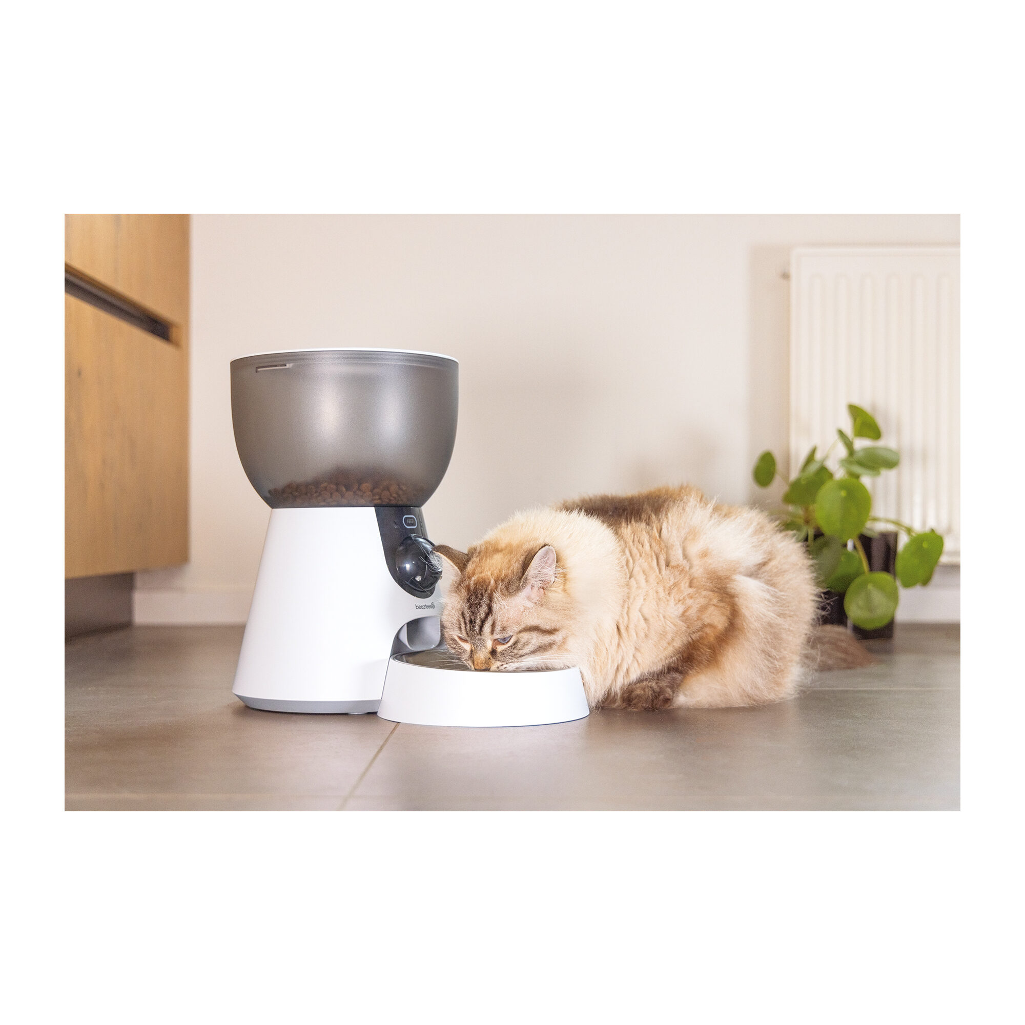 Beeztees Automatischer Futterspender Cam