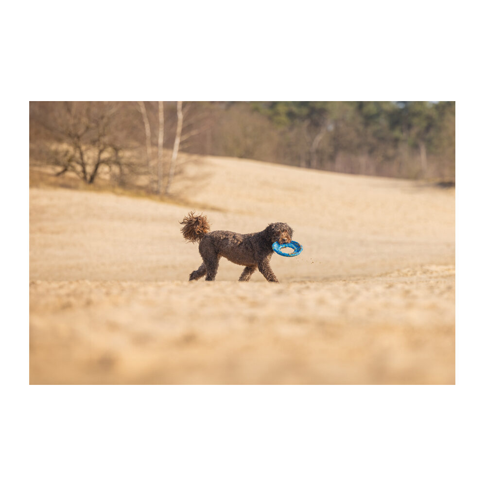 Beeztees Skumfrisbee