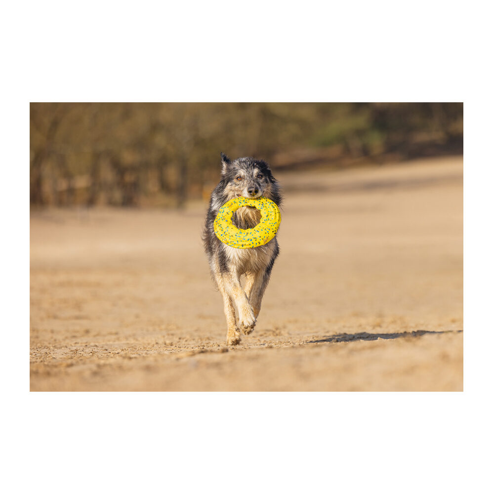 Beeztees Skumfrisbee