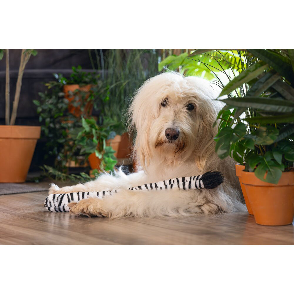 Beeztees Jungle Zebra Staart