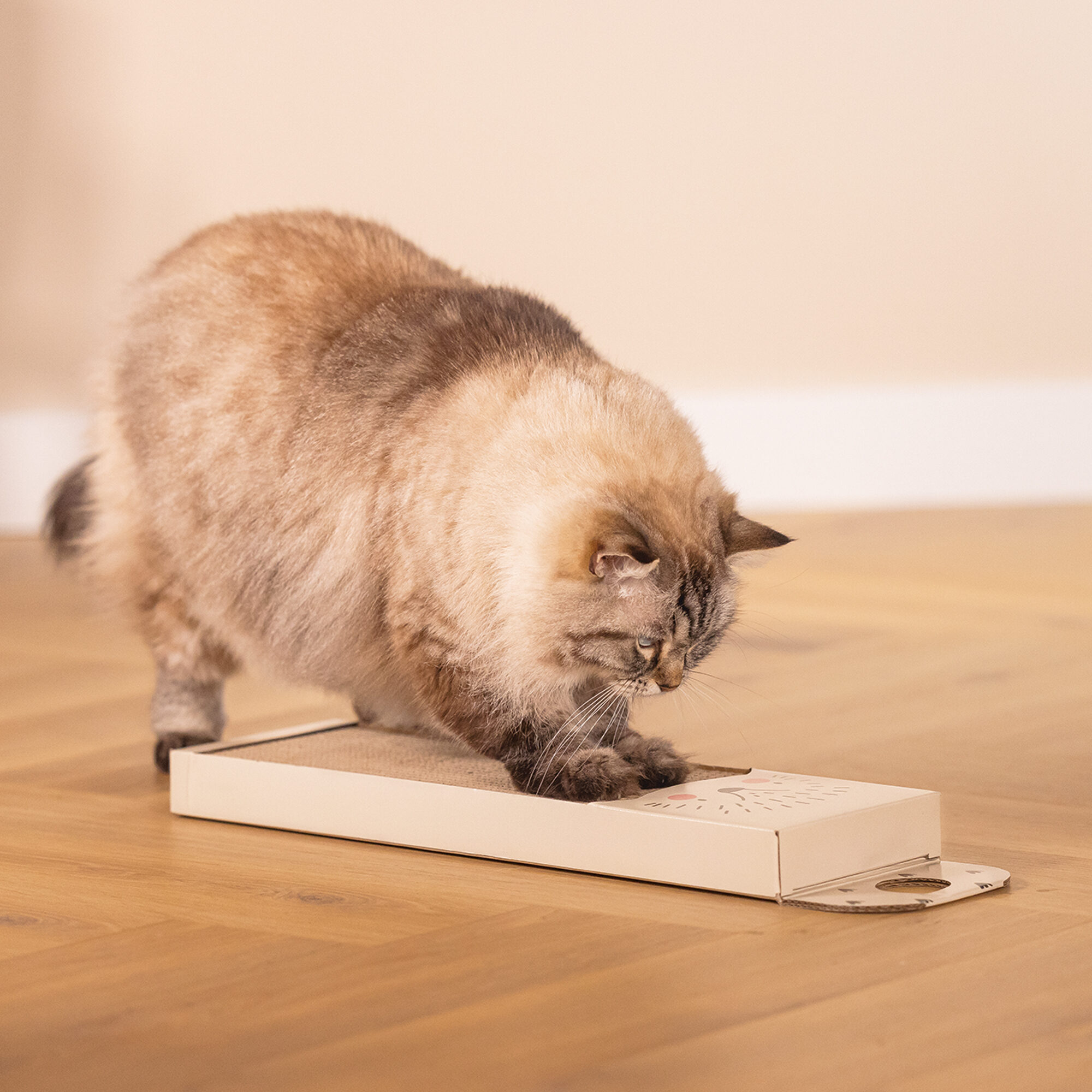 Beeztees Cardboard Scratching Board