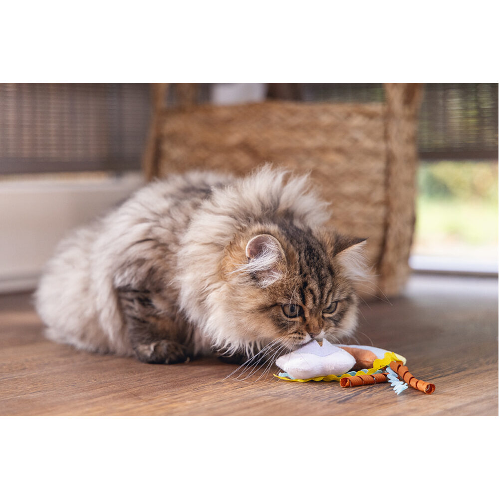 Beeztees Kitten Hide and Seek Iris