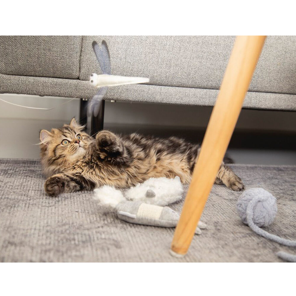 Beeztees Kittenangel Libelle