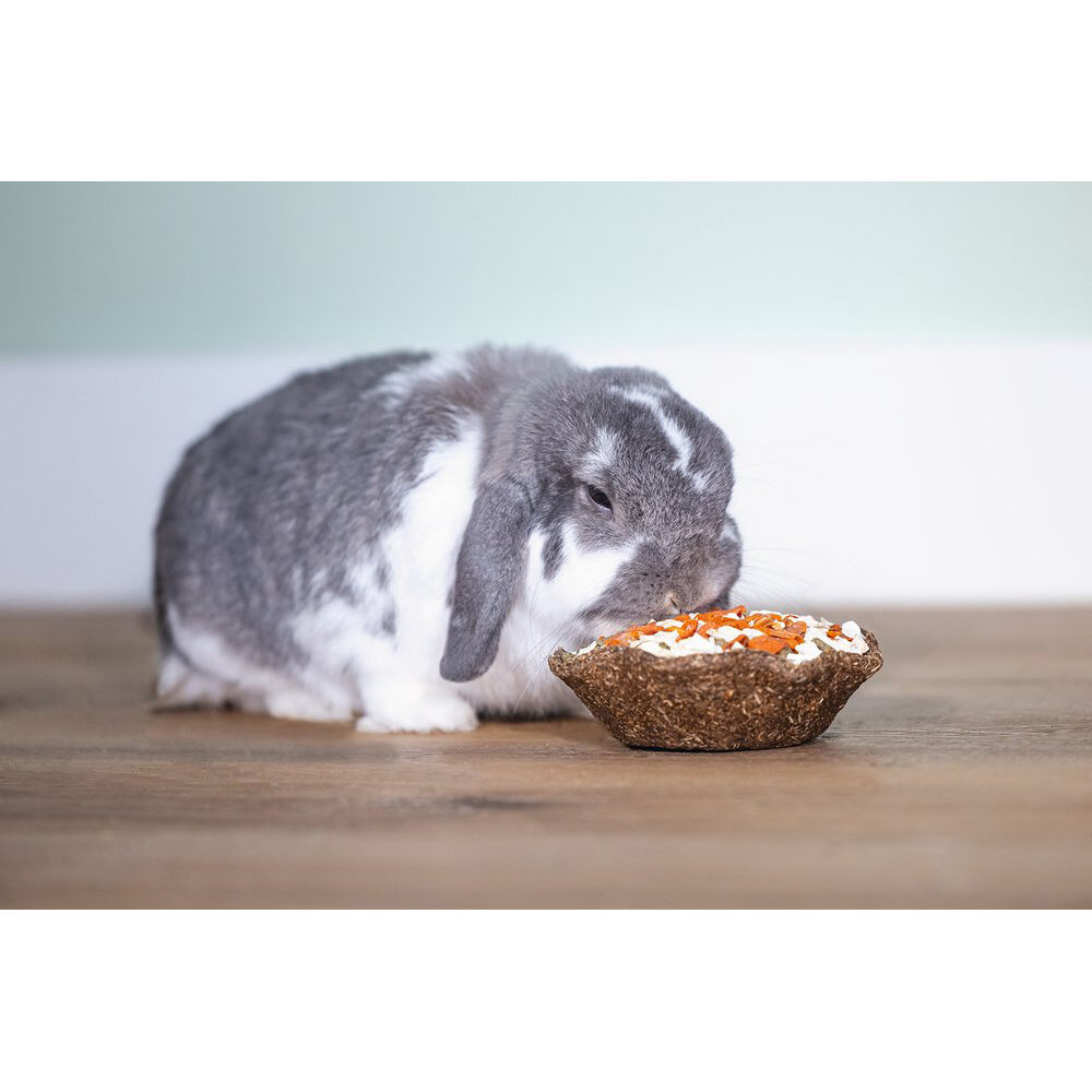 Beeztees Rodent Snack - Hay Bowl