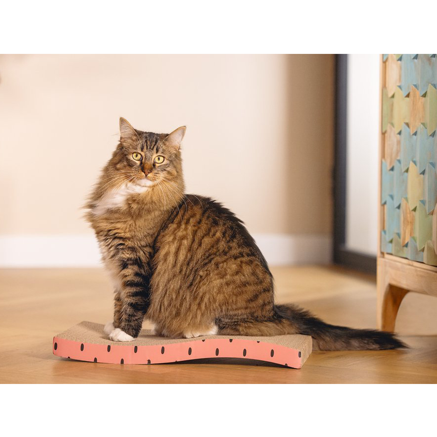 Beeztees Griffoir à Chat Dots
