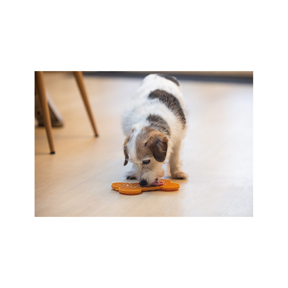 Beeztees Leckmatte Knochen