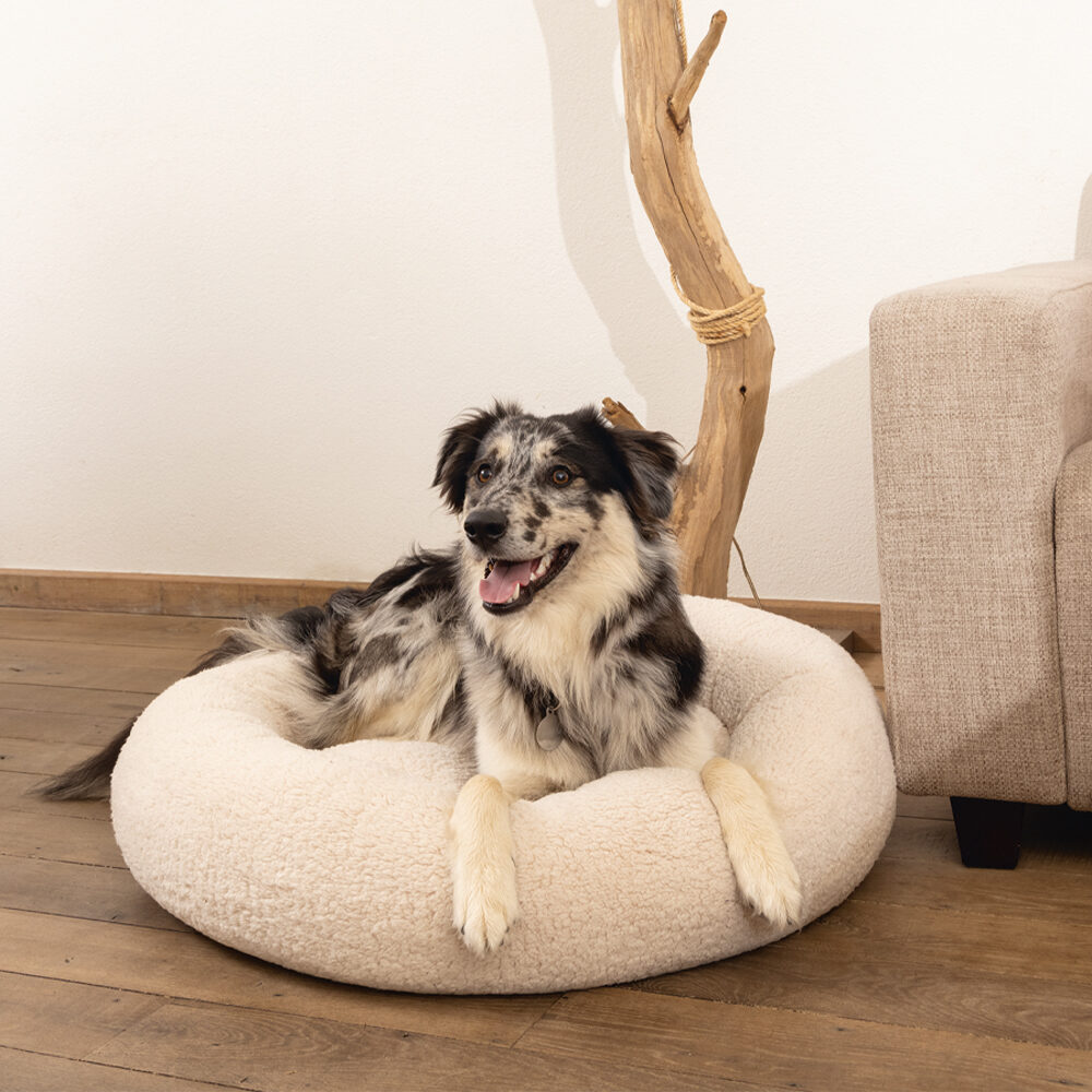 Beeztees Memory Foam Jaxx - Dog Basket - Plush - Beige