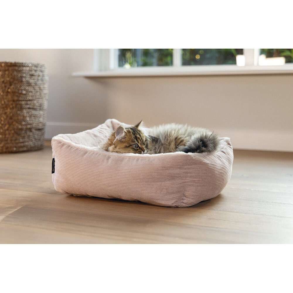 Beeztees Moza Kattenkurv
