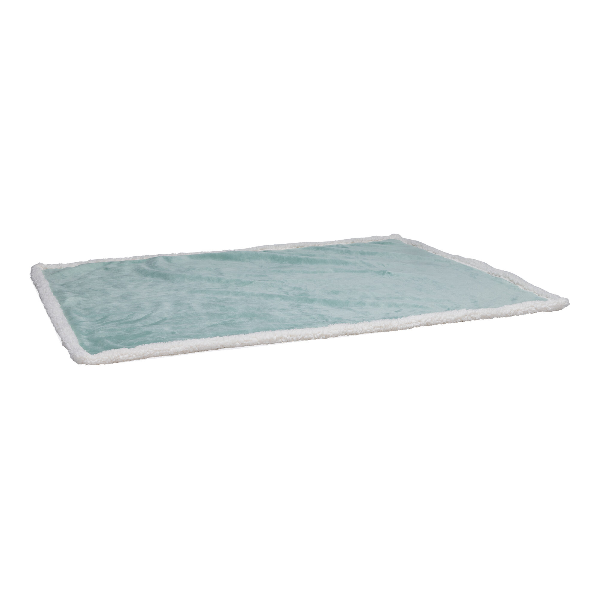 Beeztees Puppy Blanket Monego