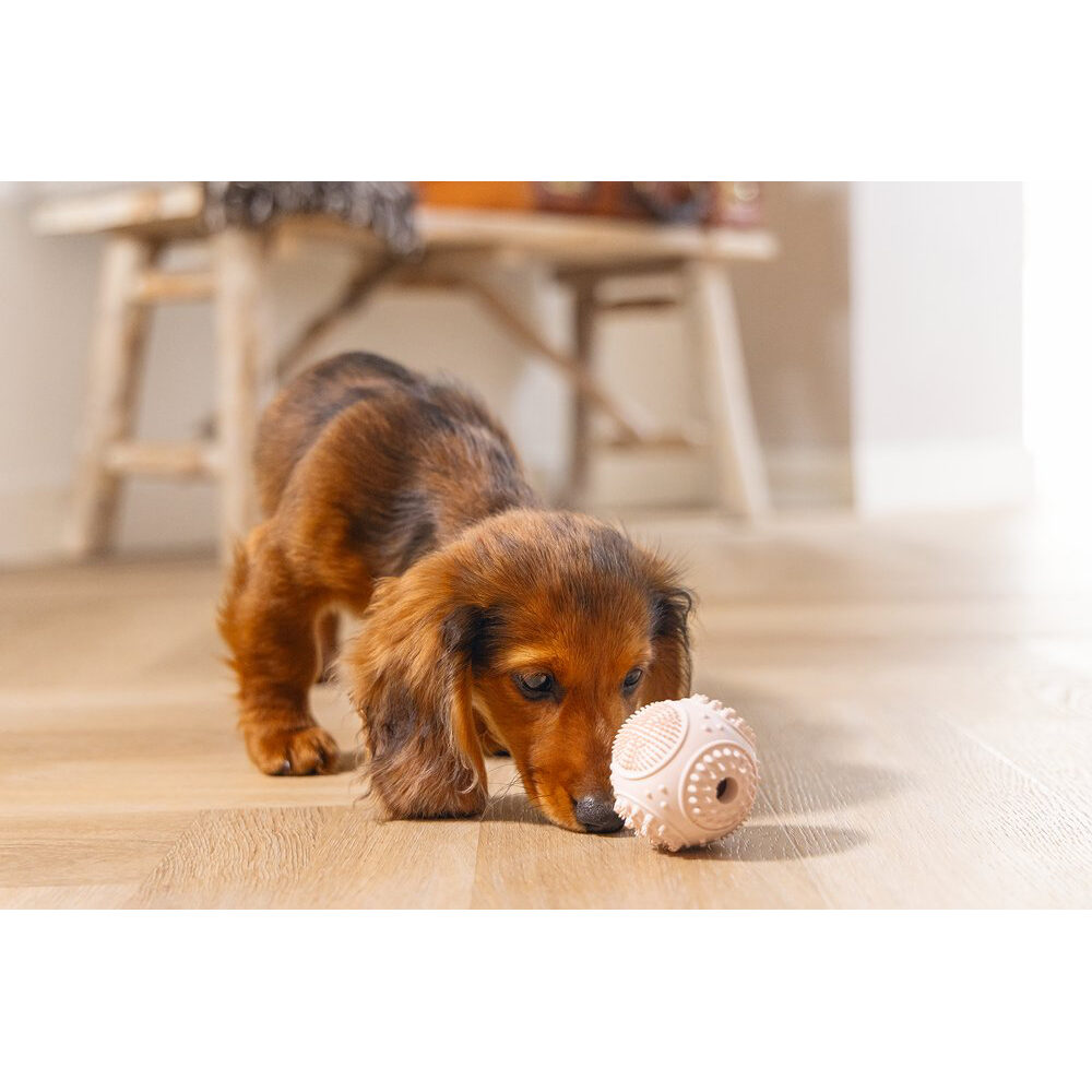 Beeztees Puppy Dental Ball