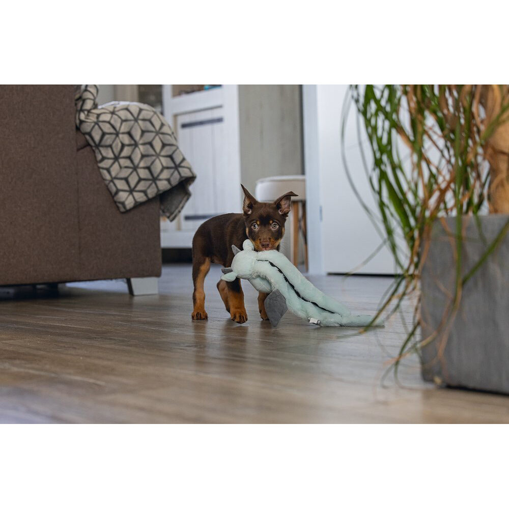 Beeztees Puppy Flatino Dragon Yi