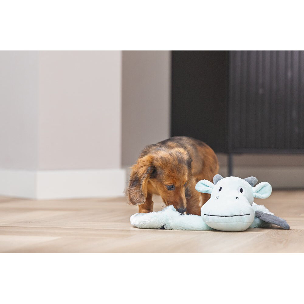 Beeztees Puppy Flatino Dragon Yi