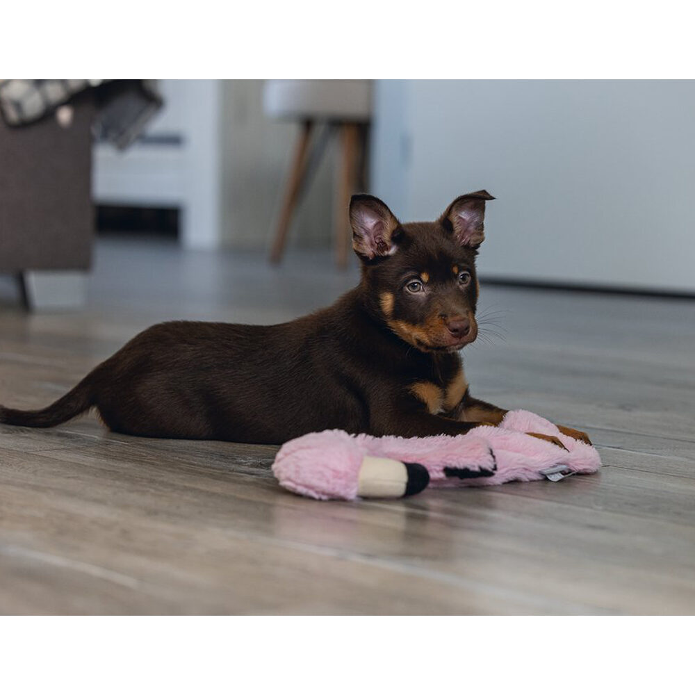 Beeztees Puppy Flatino Flamingo Fe