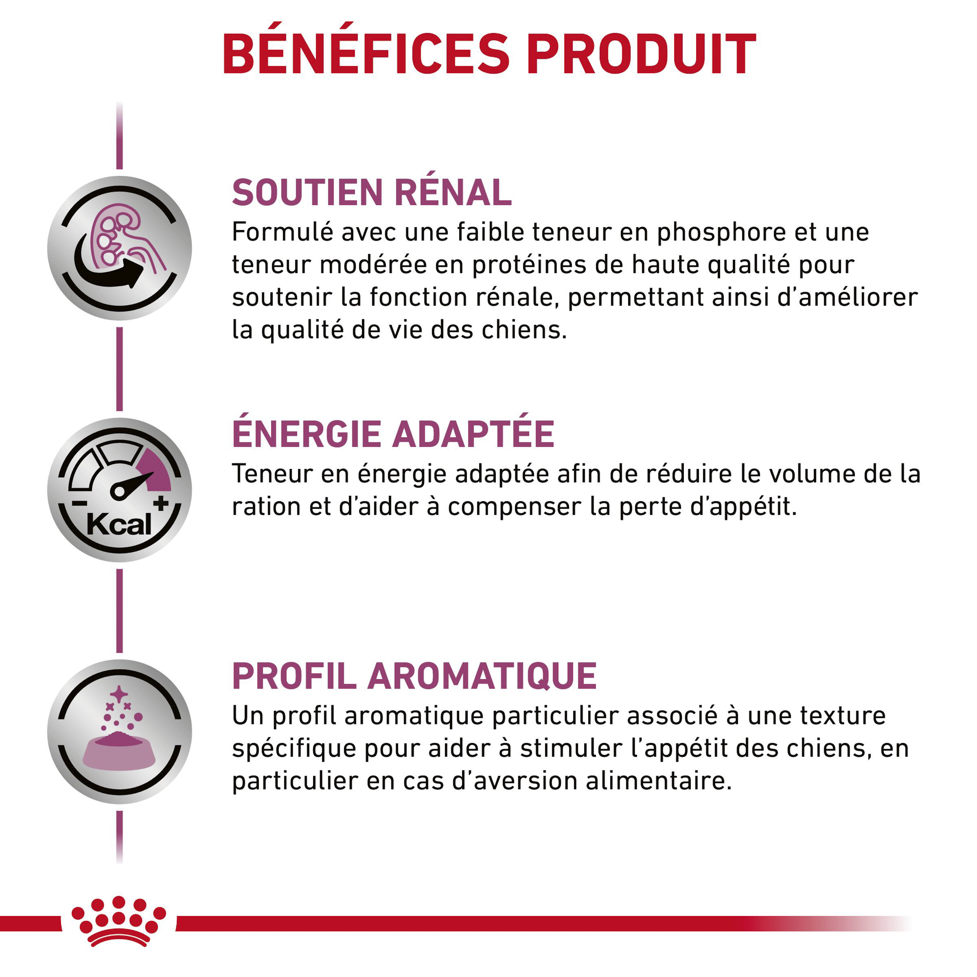 Royal Canin Renal Chien - Boîte