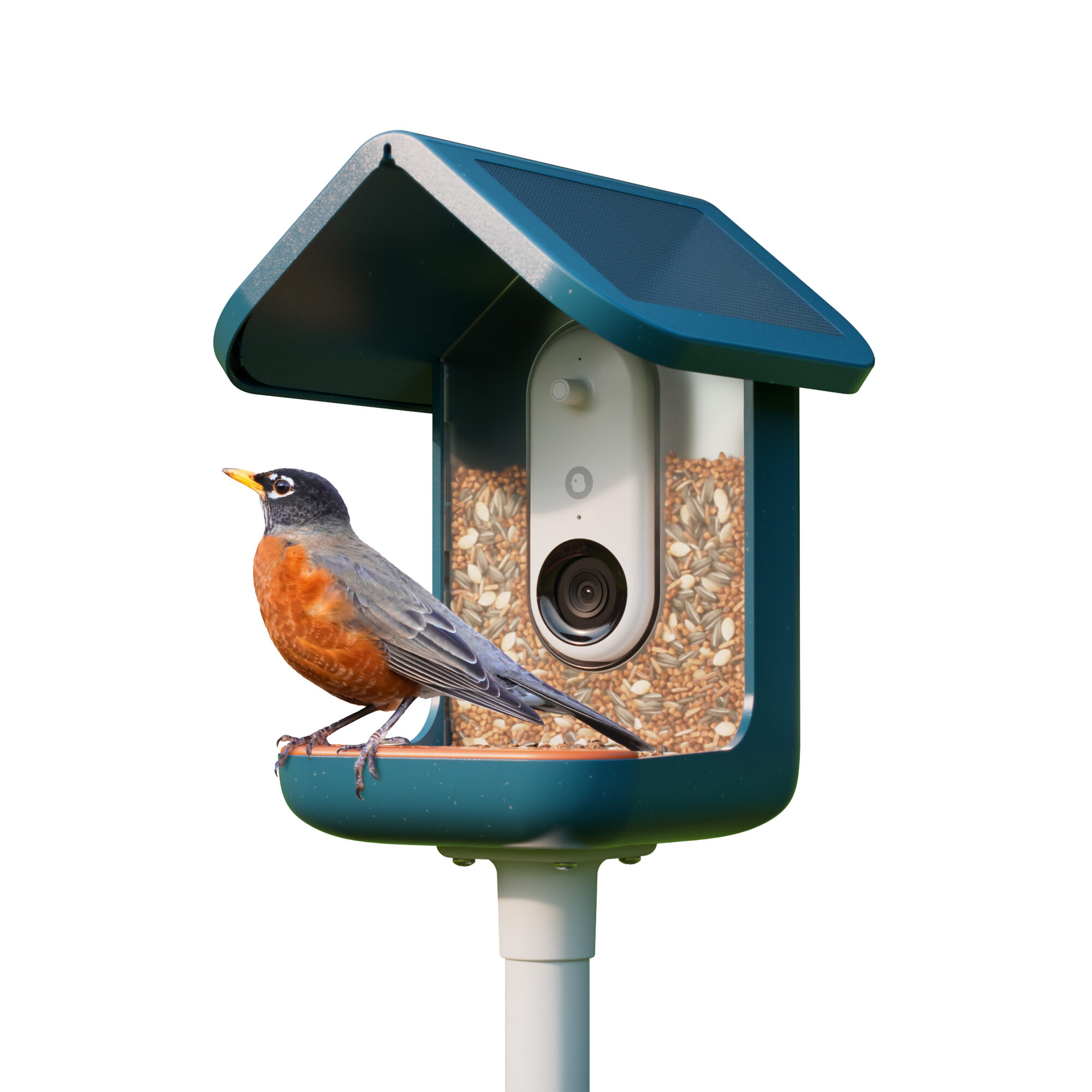 Bird Buddy Smart Bird Feeder