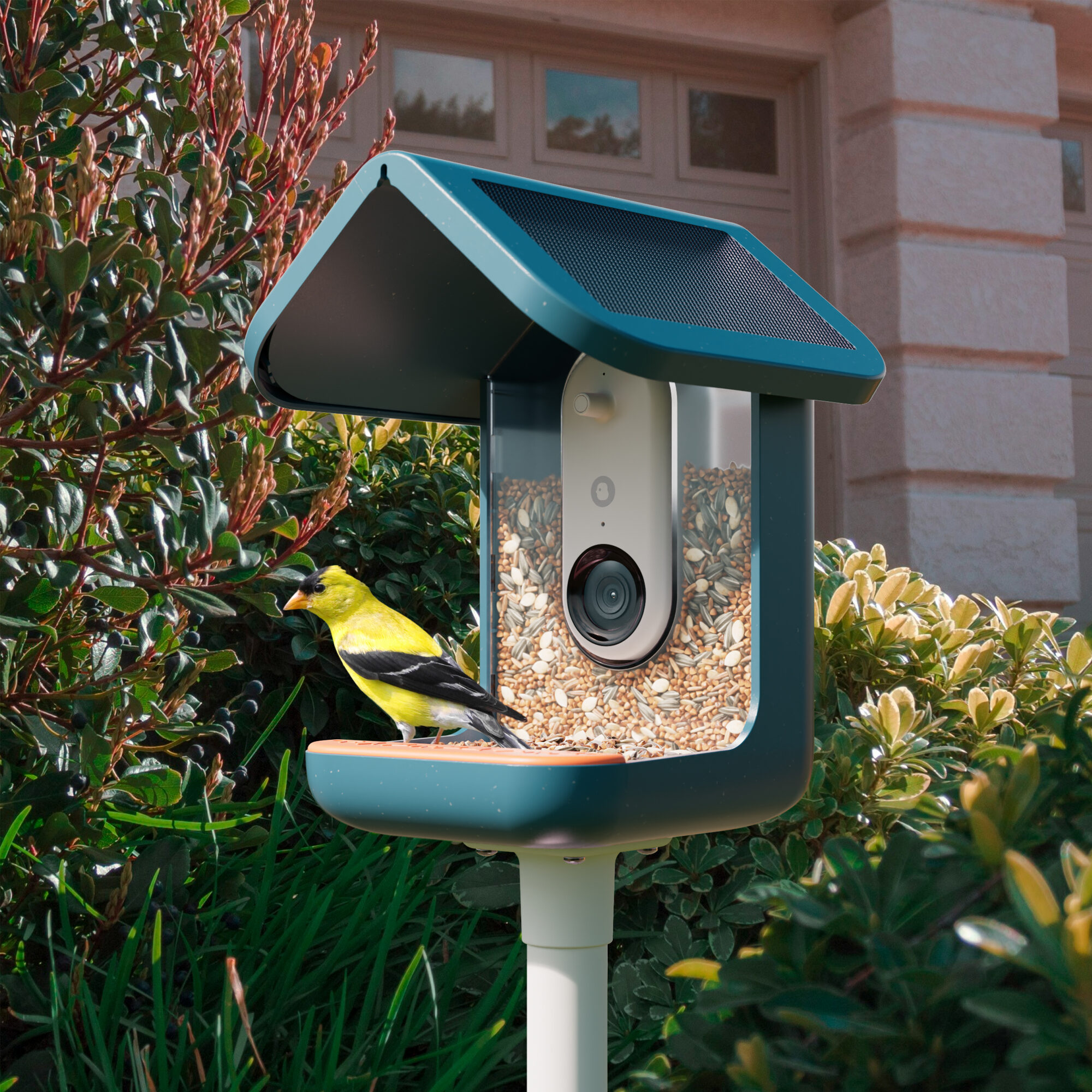 Today's best bird feeder cameras that we've tested for birdwatching at home