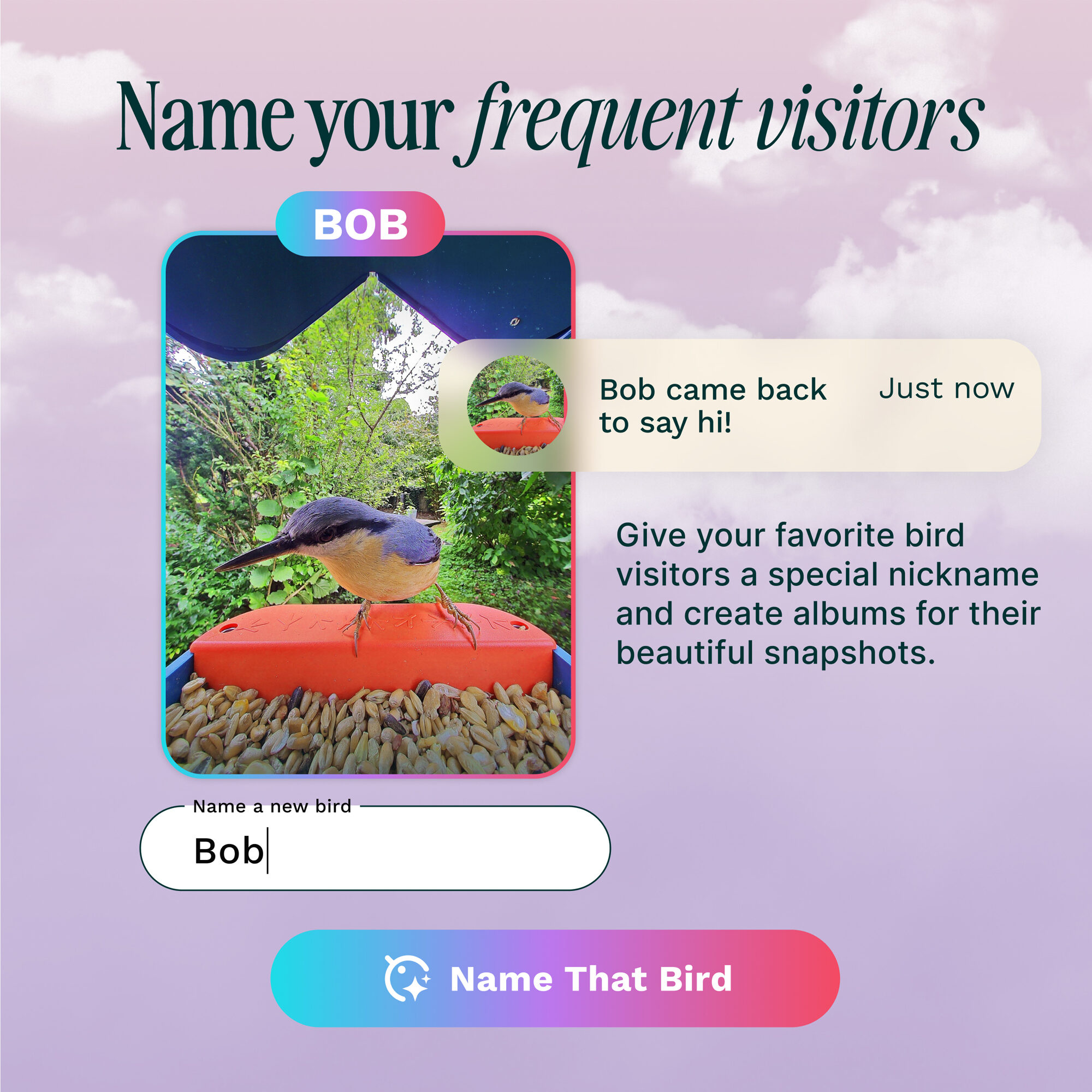 Bird Buddy Smart Bird Feeder