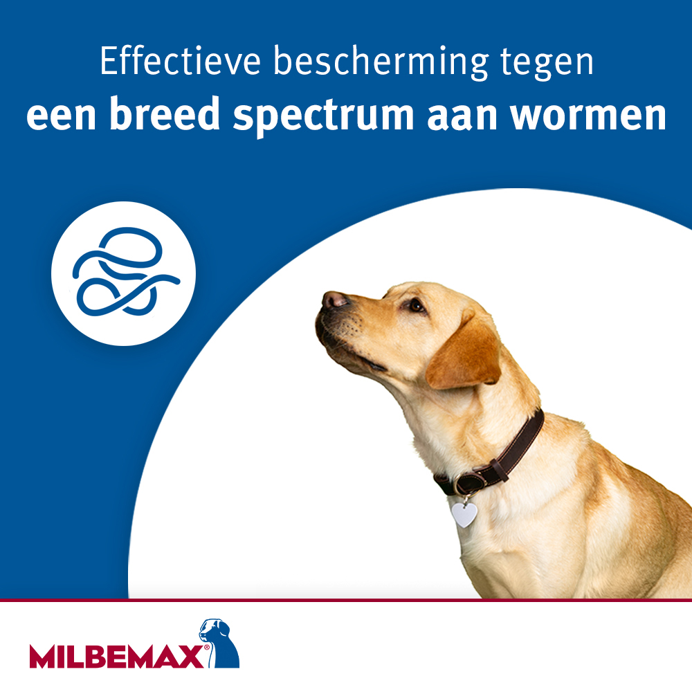 Milbemax Kauwtabletten | Ontwormen Hond | Bestel | Medpets.nl