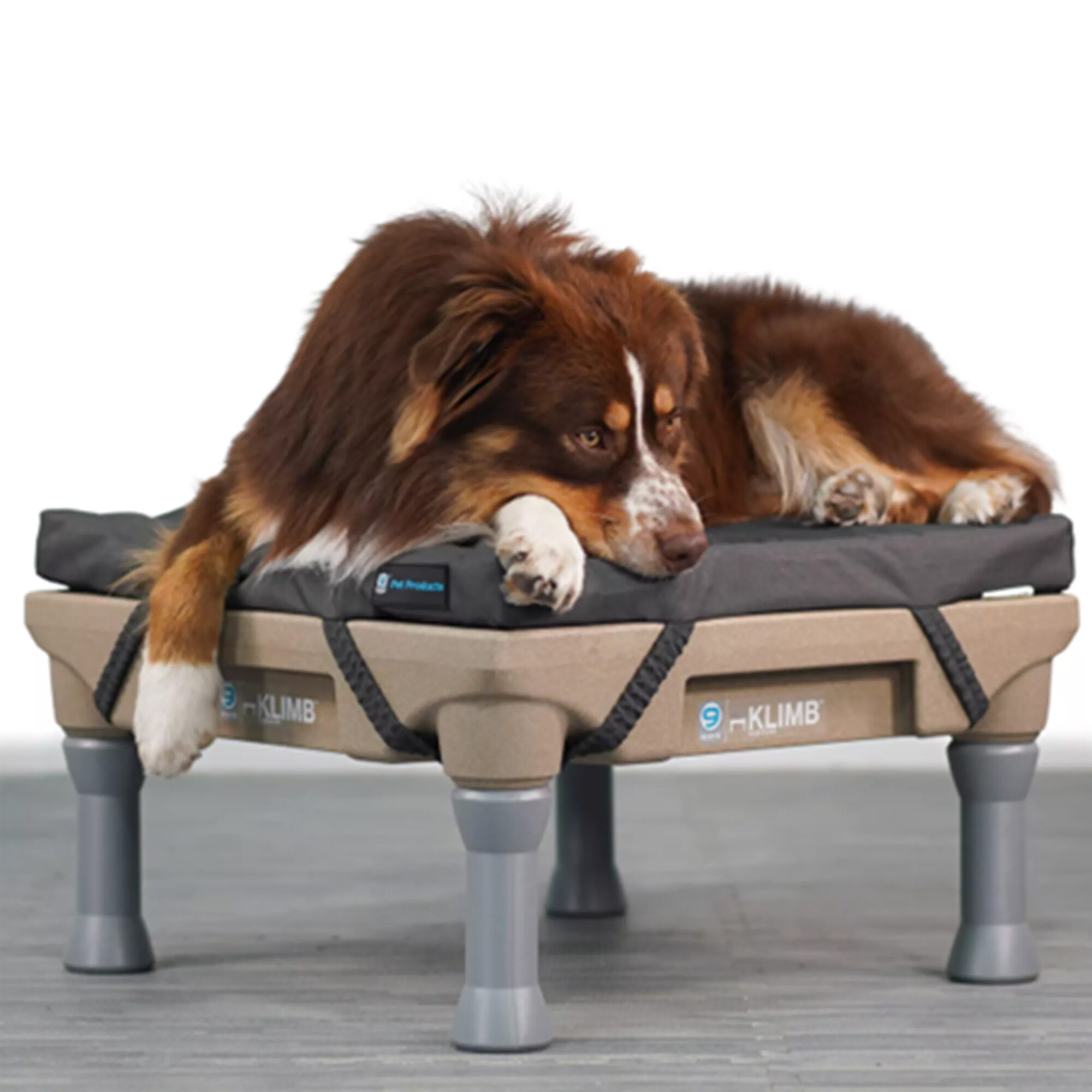 Blue-9 Klimb Restore Hundebett