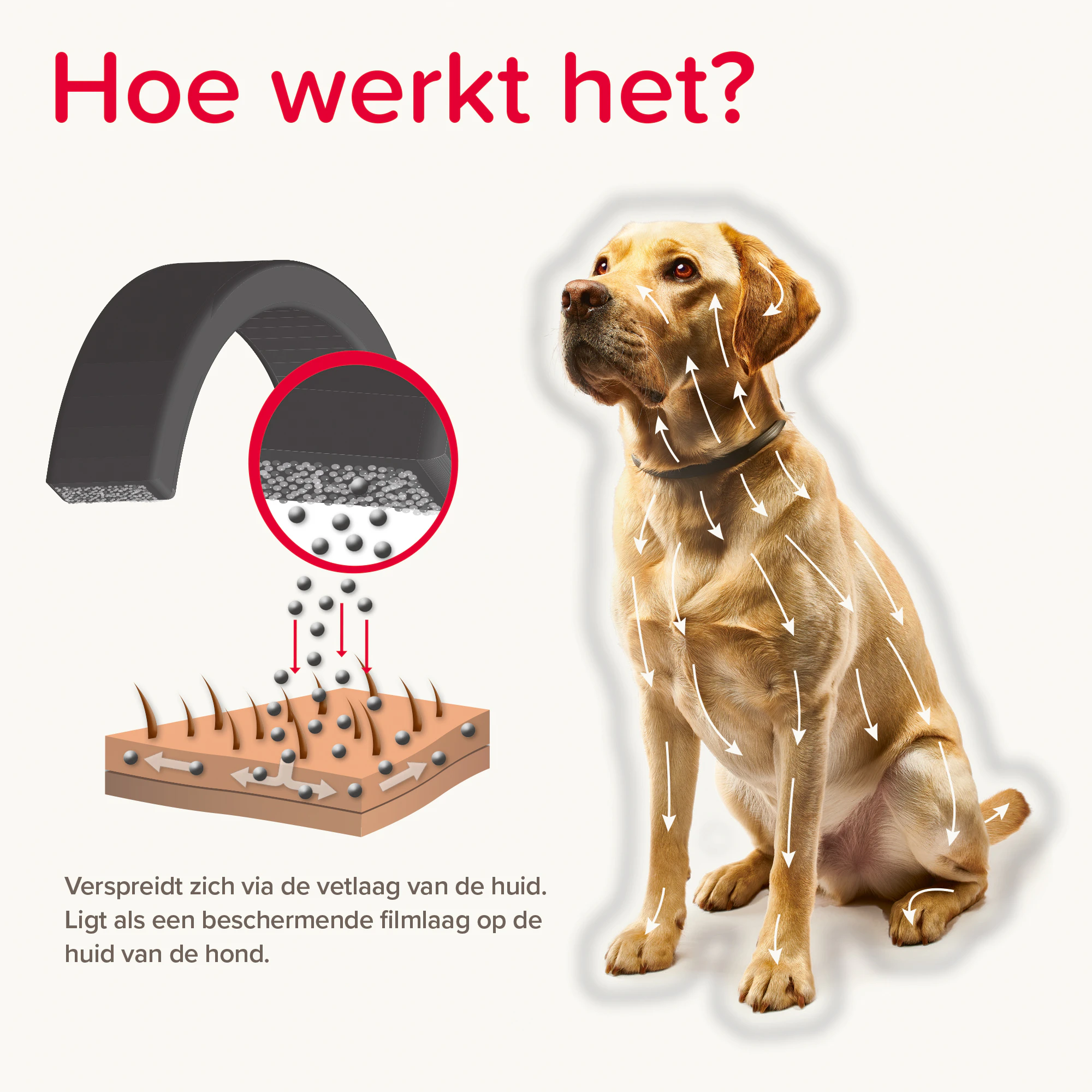 Beaphar Canishield Hond