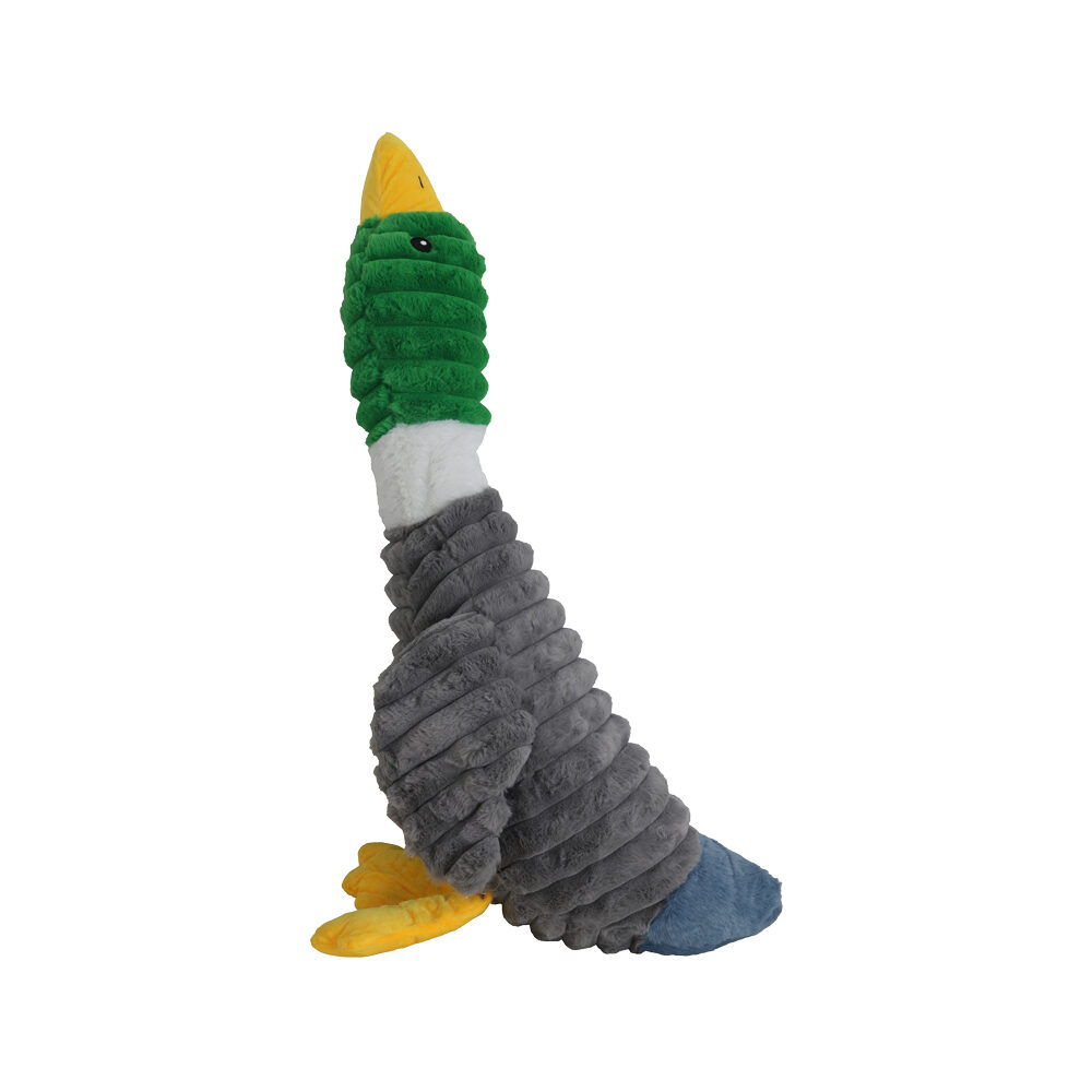 Boon Anatra in Velluto a Coste - XXL