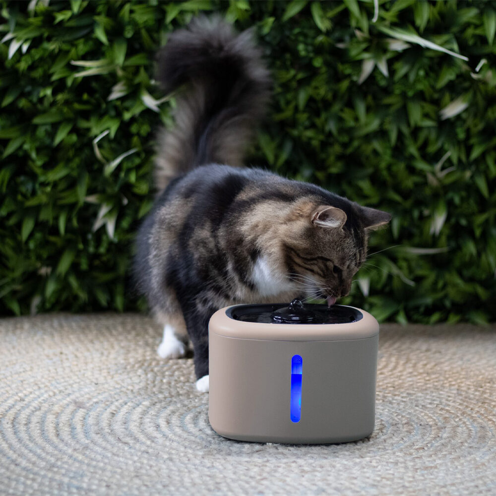 Boony Aquabella Fontaine à boire