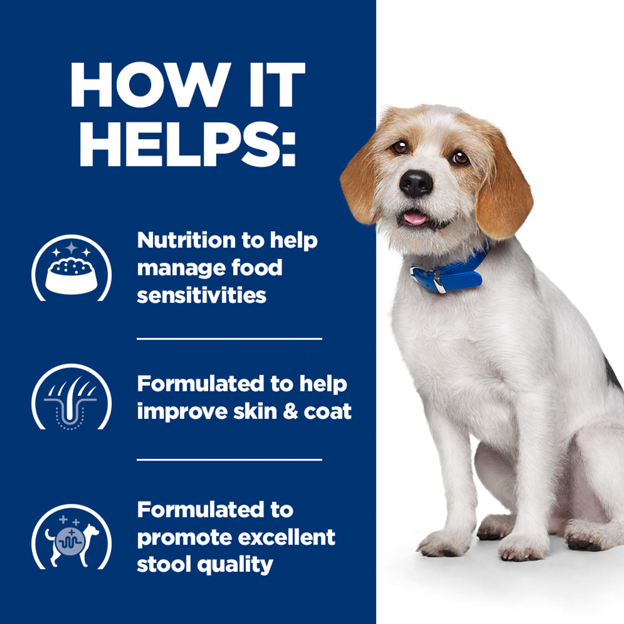 Hill's z/d Low Fat Food Sensitivities - Prescription Diet - Canine